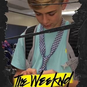 Meet your Posher, Joey